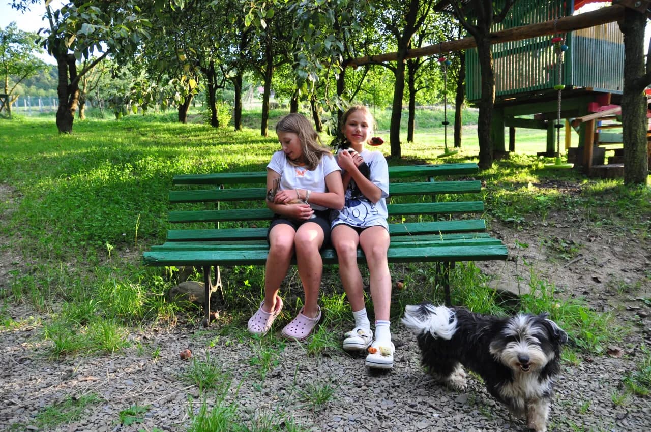 Dzieci na ławce pod drzewami