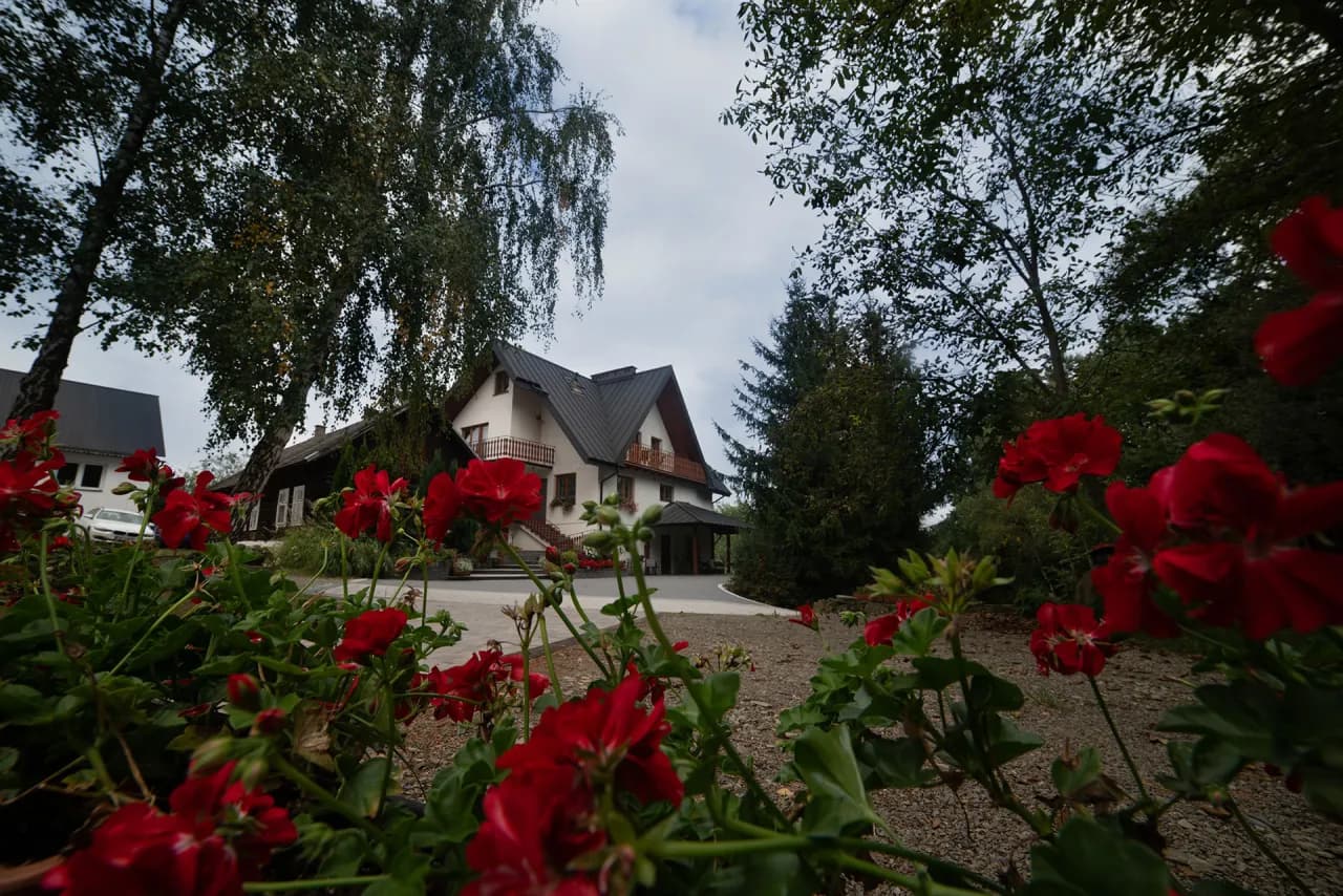 Gospodarstwo widziane zza pelargonii